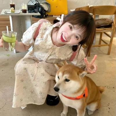 欢迎你到阿尔村